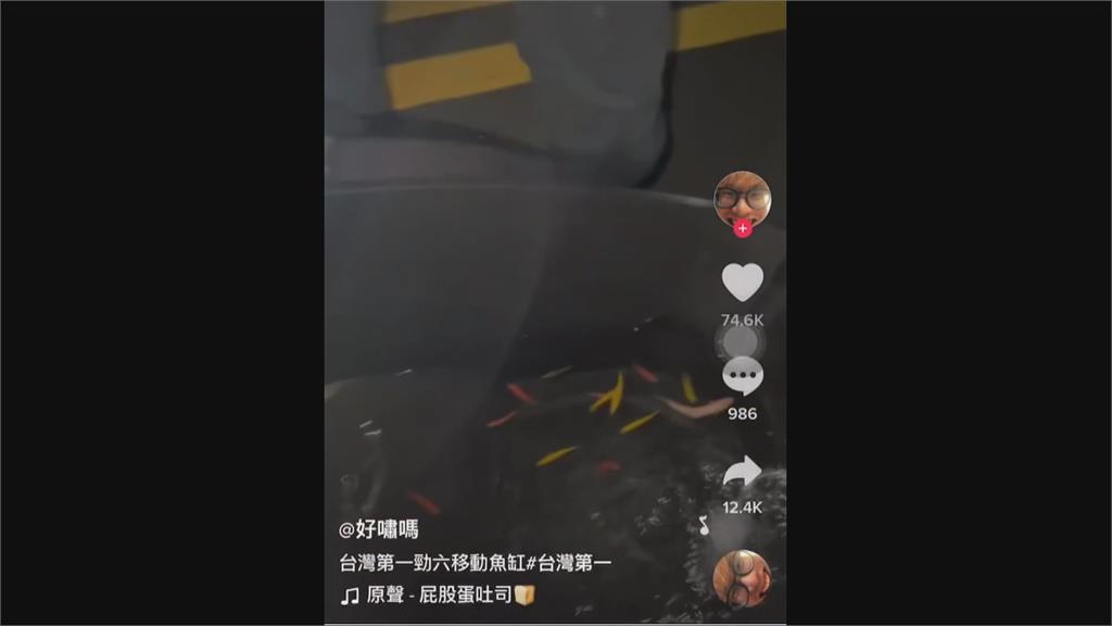 機車坐墊下「小魚在游」　這款水族箱　車行老闆搖頭