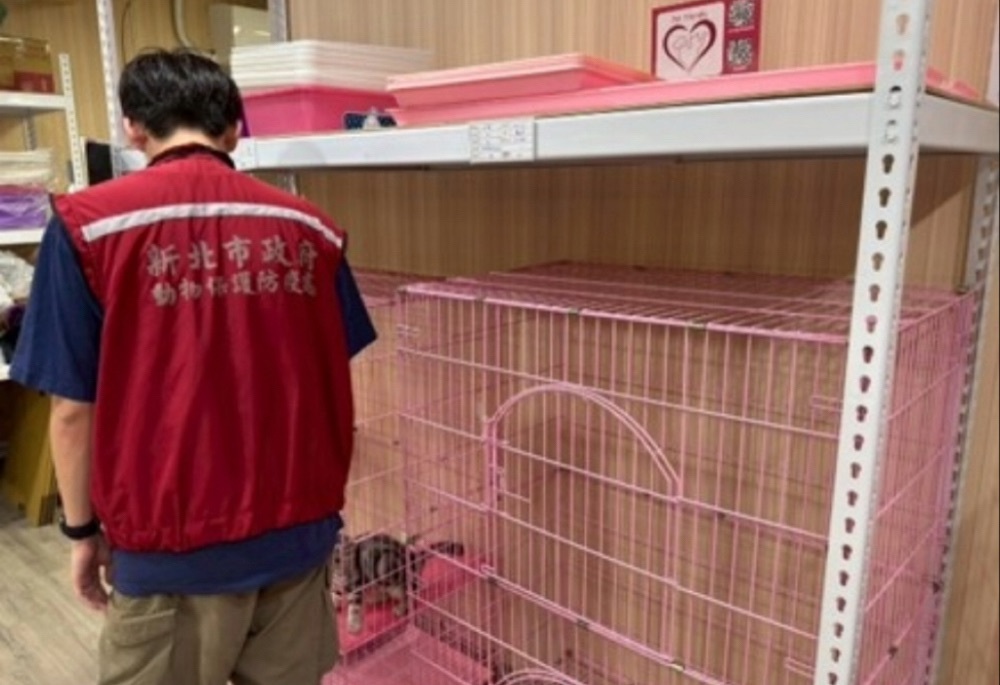 新北動保處查核425家寵物業者　重罰違法提醒市民警覺