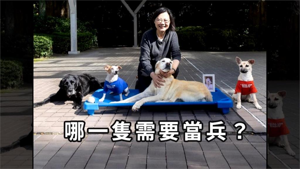 蔡英文被質疑「兒子為何免當兵」　網友：樂樂是女生當過兵還退役了