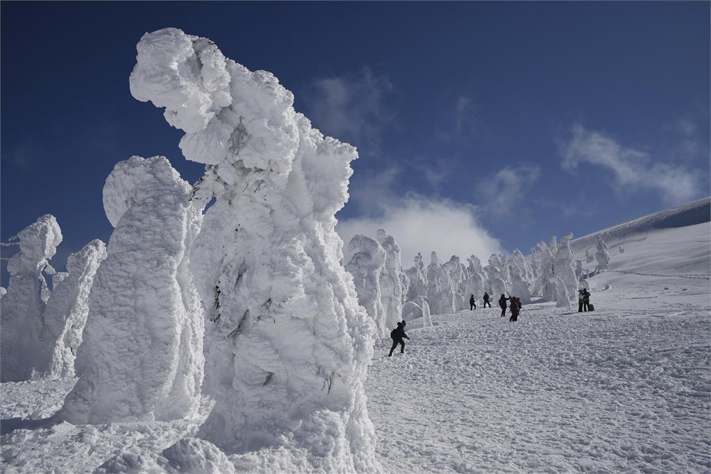 全球暖化讓雪怪說再見？日本知名千年「藏王樹冰」恐看不到　時間點曝光