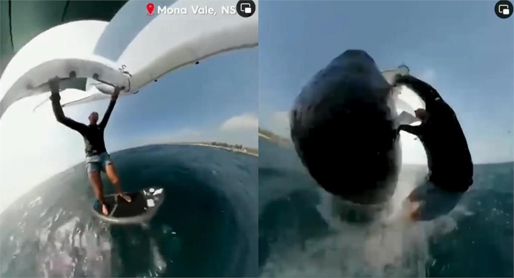 快新聞／驚險畫面全都錄！衝浪遇鯨魚迎面撞擊　澳男奇蹟似毫髮無傷