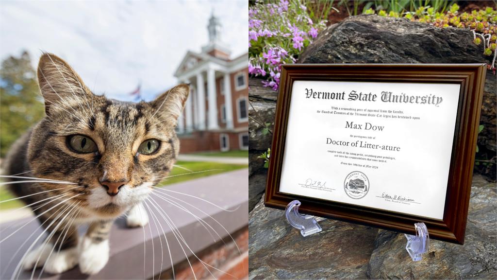 貓咪4年來天天到校打卡　美國大學頒發「榮譽博士」學生賀：恭喜貓博士！