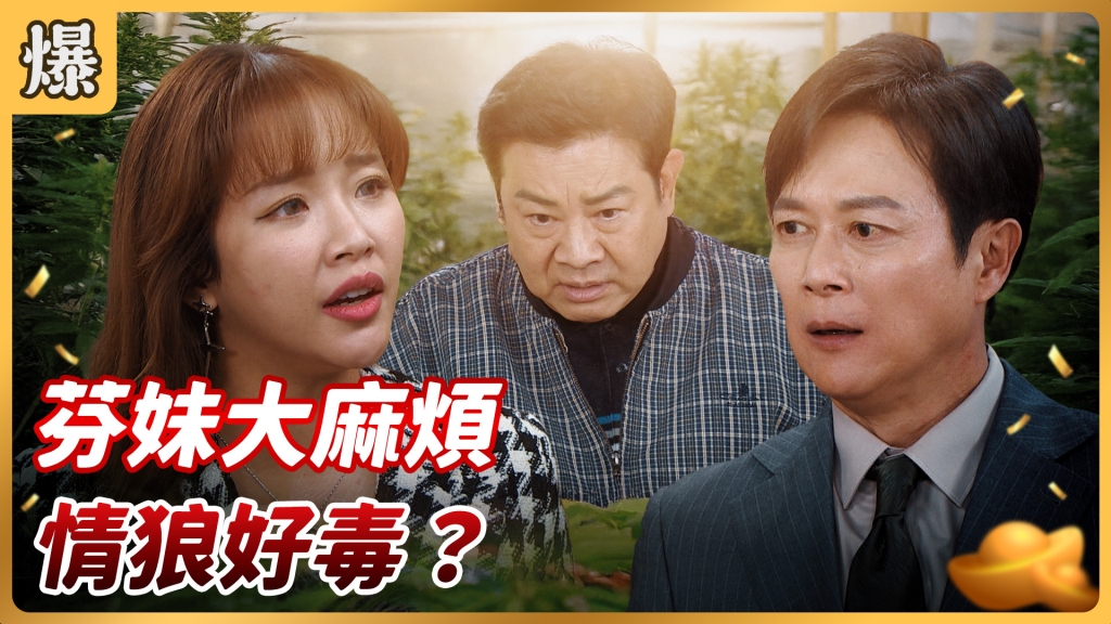 《好運來-EP44精彩片段》芬妹大麻煩 情狼好毒？