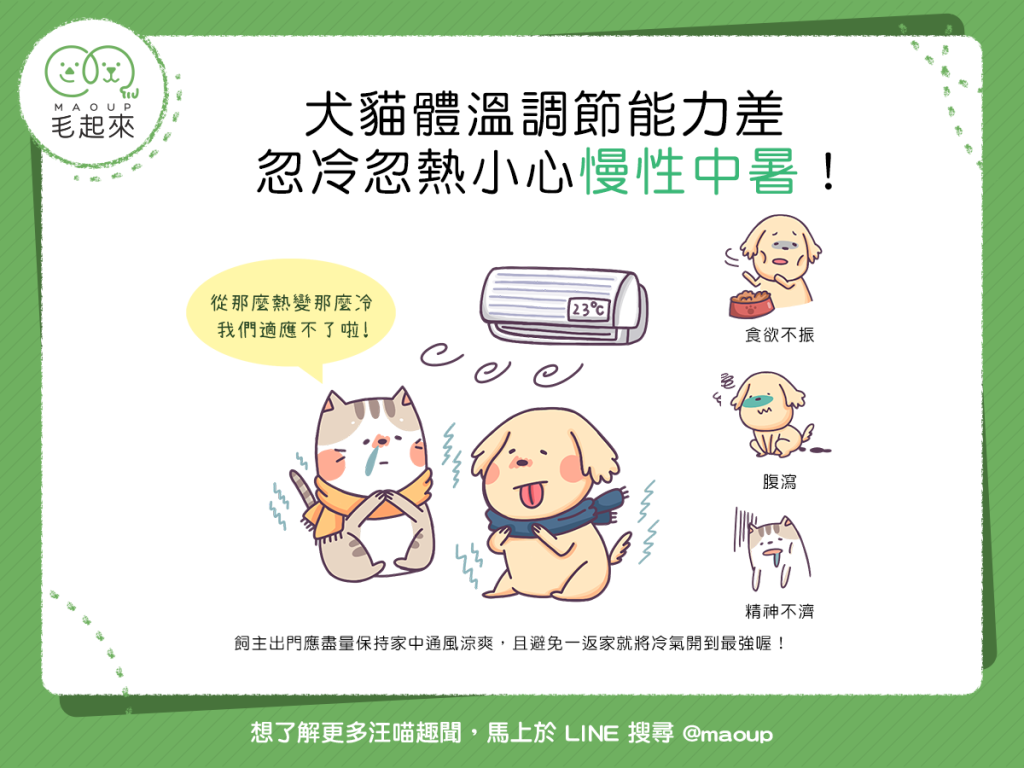 【汪喵生活家】犬貓體溫調節能力差！忽冷忽熱，當心慢性中暑！