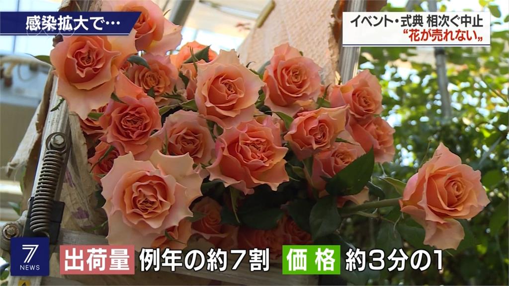武肺疫情重創日本商業 新鮮玫瑰花直接扔掉