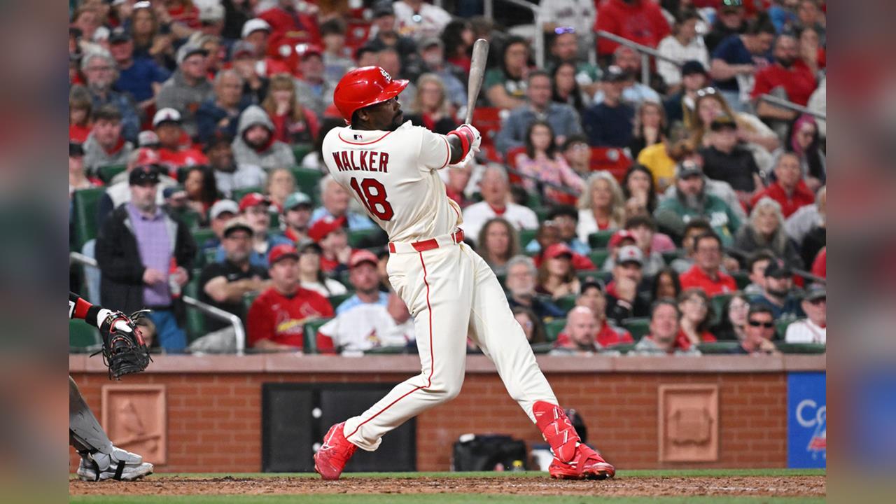 MLB(影)／8場比賽6支全壘打太嚇人！紅雀23歲小將沃克躍升大聯盟全壘打王