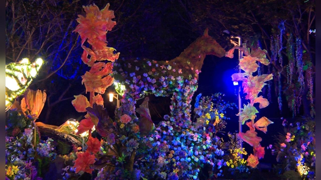 天馬奔馳！中台灣燈會驚蟄界　沉浸式感官之旅