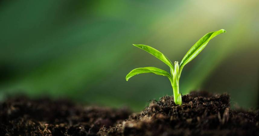 2/4入「立春」!四生肖易生病 養生方式及禁忌事項一覽