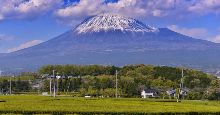 茶人茶事／富士山下名茶飄香