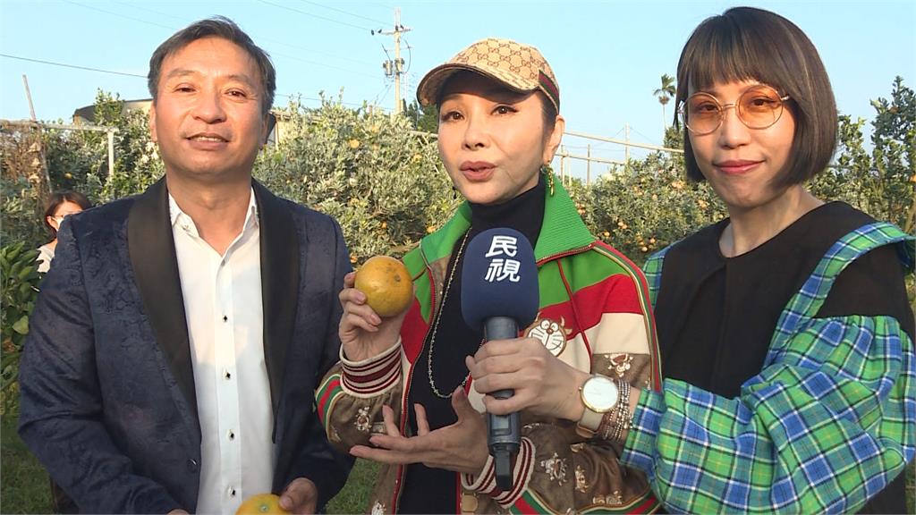 美鳳姐.王中平開直播 採茂谷柑全記錄