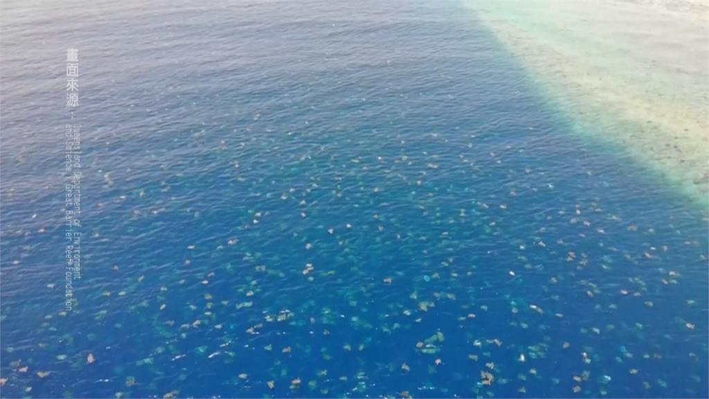 全球最大群！6萬綠蠵龜澳洲大堡礁上岸產卵