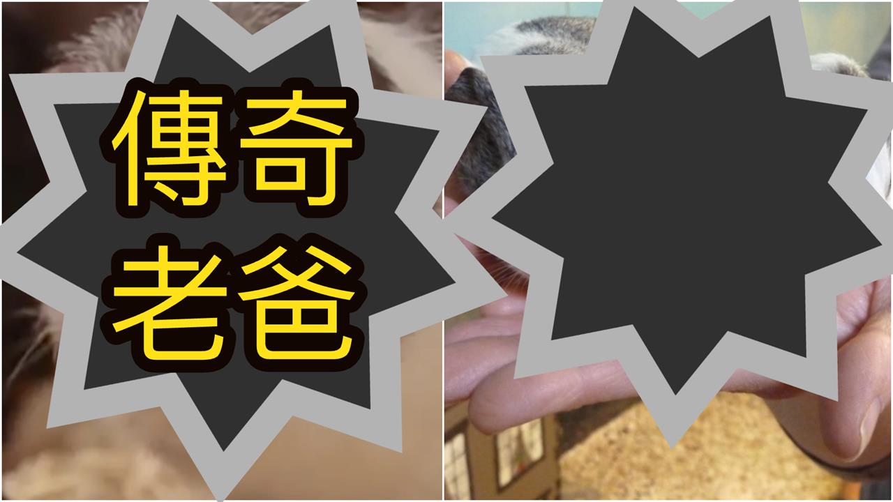 偷闖禁區「極樂3週」激戰百次全命中！晉升「傳奇奶爸」超勇真身曝光