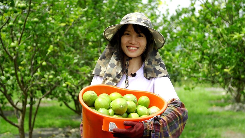 金牌農村與檸檬 以農之名的鹿野傳奇｜寶島樂田誌