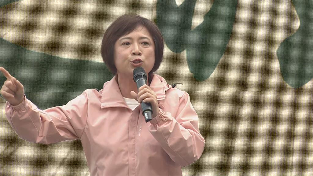 快新聞／用自己的力量救台灣！　何欣純：我們拚一輩子就是要栽培孩子不是嗎？