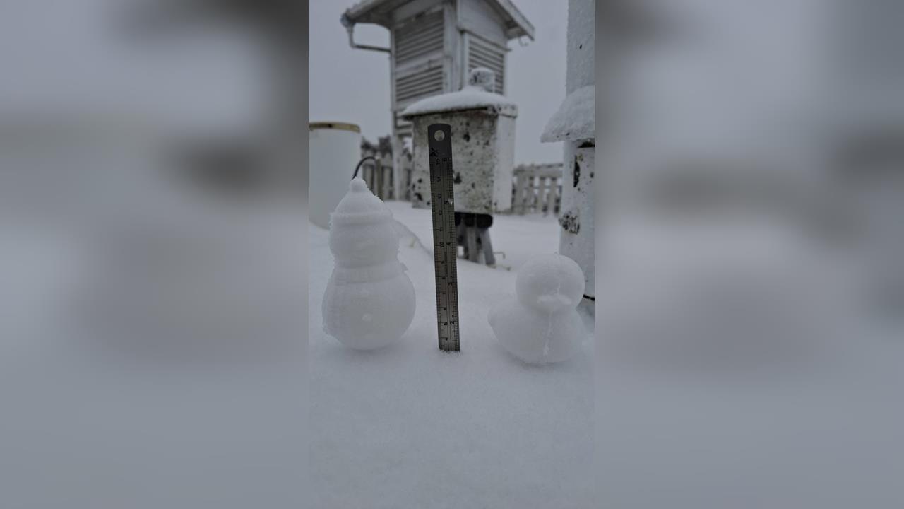 快新聞/玉山下雪了!可愛雪人伴「白色小鴨」現身 銀白世界如夢似幻