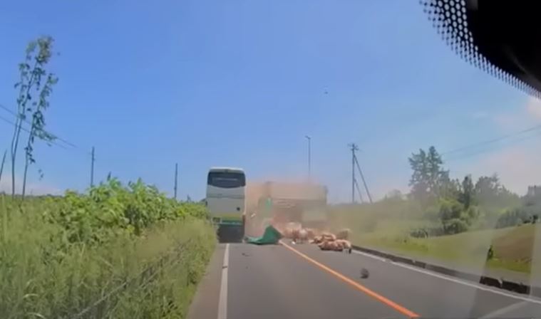 快新聞／北海道高速巴士撞上對向貨車釀「5死17傷」　可怕畫面曝光