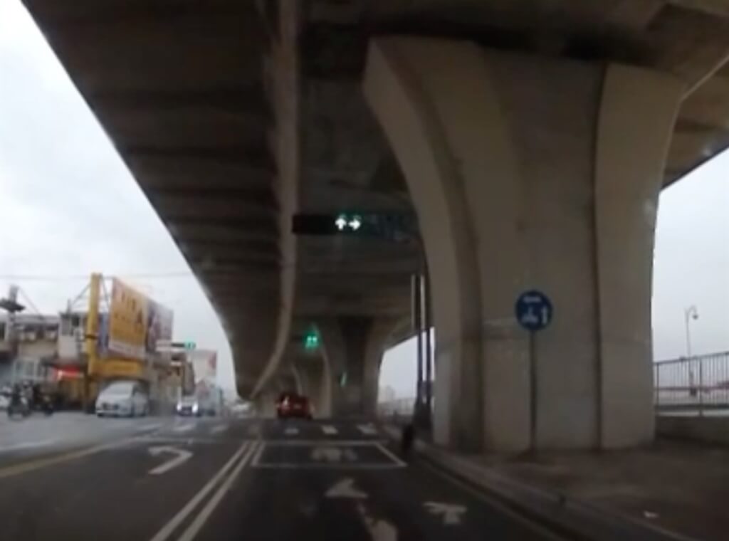 飼主開車門疑似棄狗　台中動保處以車牌追人調查