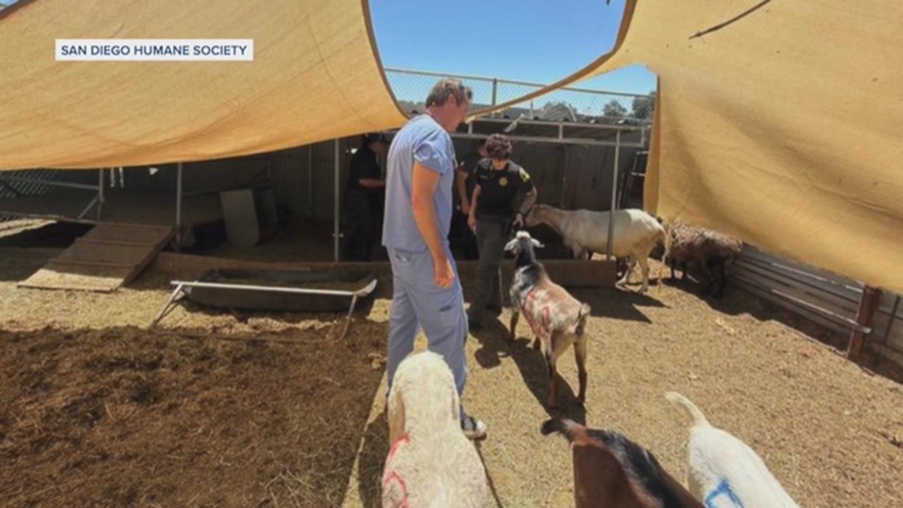 加州動物庇護所涉不當照護？ 人道協會出動救援