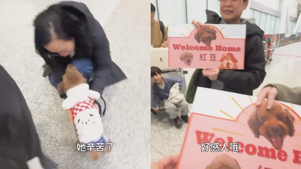 浪犬離開收容所「移民」加國 領養人一家接機畫面惹哭網