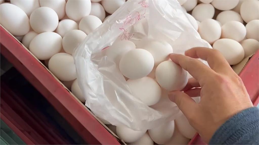 台中雞蛋批發行大排長龍　業者祭限購令籲「夠吃就好」