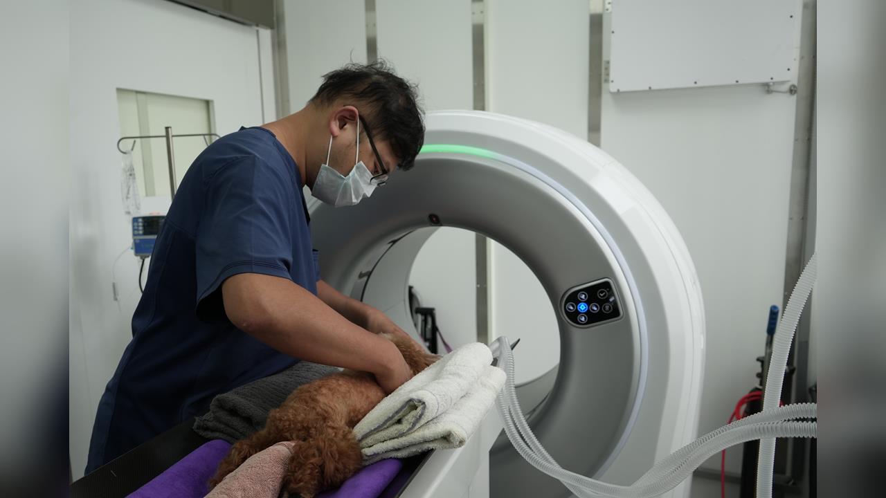 搶賺高齡毛孩防癌財！康科特旗下康悅攜手寵訊生醫 引進「免麻醉抽血」寵物精準醫療