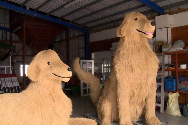 超像！宜蘭三星鄉製作巨大「黃金獵犬」