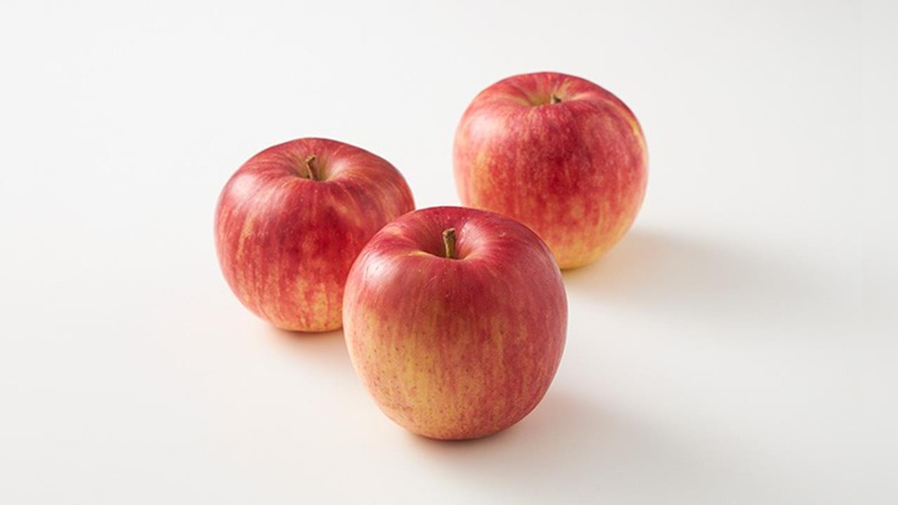 北海道蘋果起源小鎮「七飯町」　各式蘋果一次品嘗！能做甜點還可染布