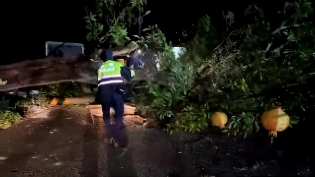 強風狂吹 ! 苗栗公館大樹倒毀電桿