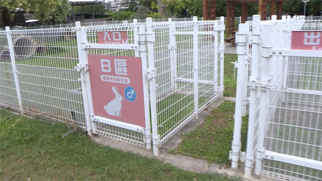 帶哈士奇闖「兔子公園」 飼主被勸阻反嗆:沒愛心