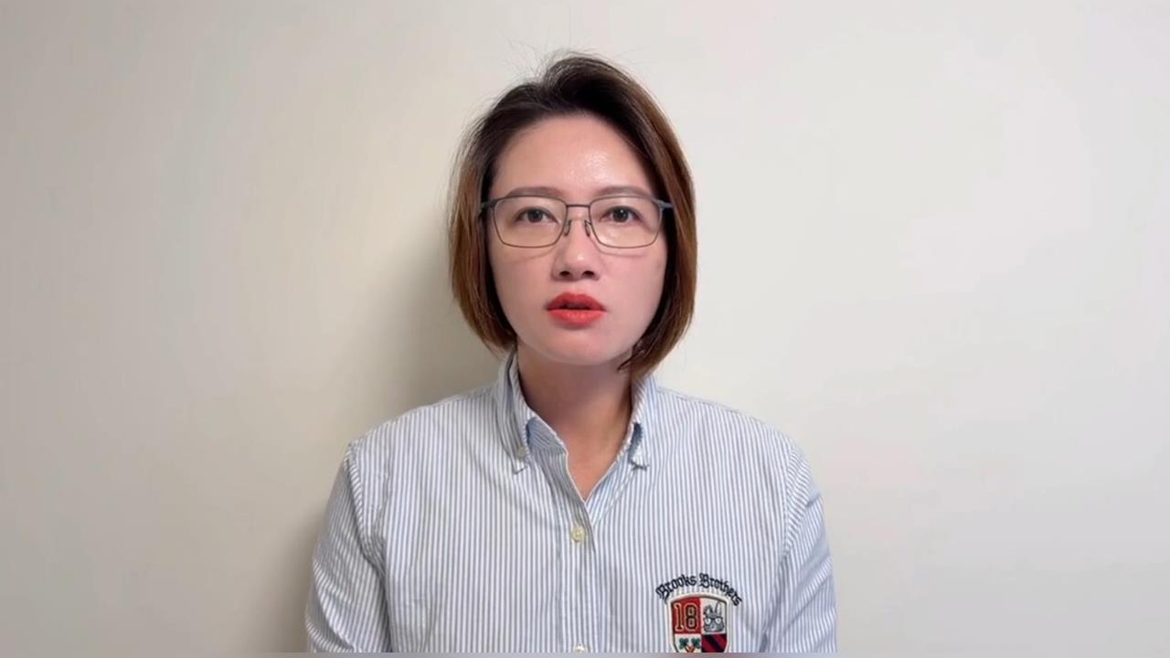 快新聞／誰會披綠袍角逐台北市長？林延鳳犀利分析曝光