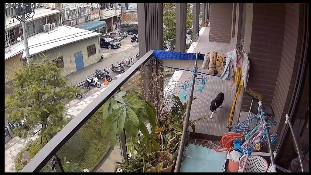 陽台可直通鄰居家！住戶控建商不理會　　建設公司駁：不實指控