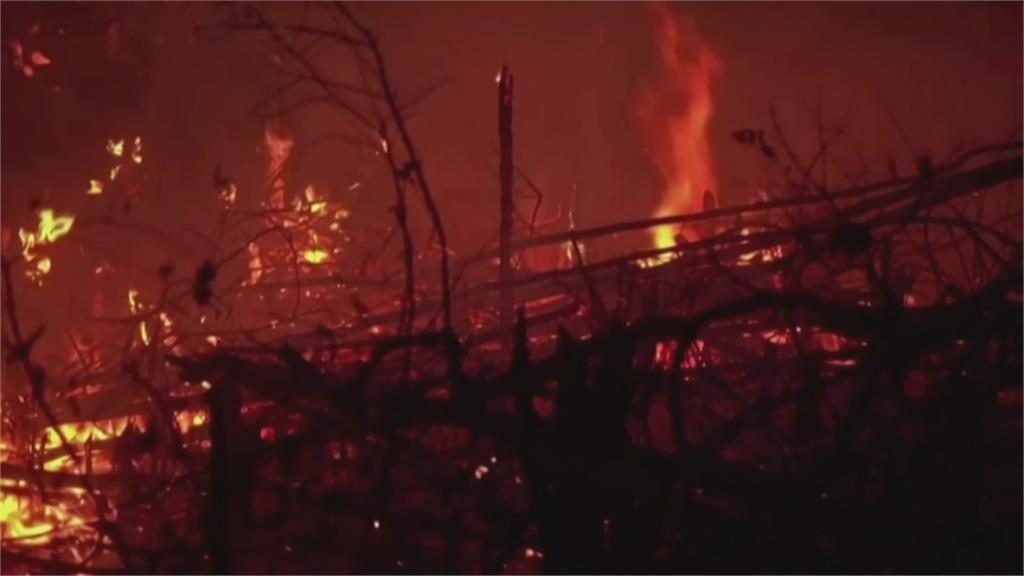 亞馬遜雨林野火續燒9個月 巴西總統聯合國開幕卸責引公憤