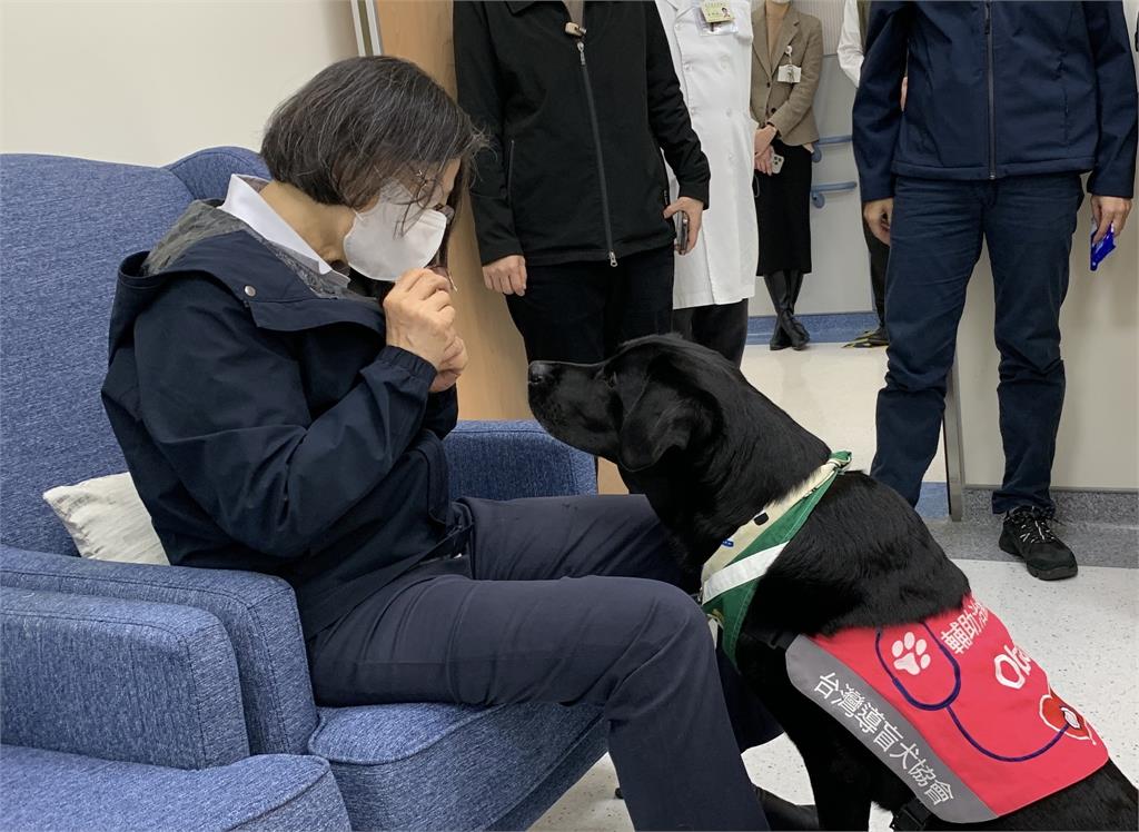 快新聞／全台首隻「駐點醫院輔助治療犬」將退休　蔡英文親帶「巴拉圭牛肉乾」慰勞