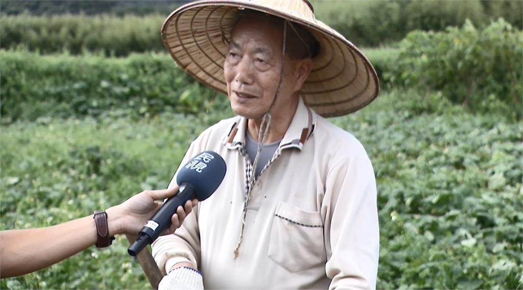 金山遇40年最嚴重水災　前總統府侍衛長整地救將軍地瓜