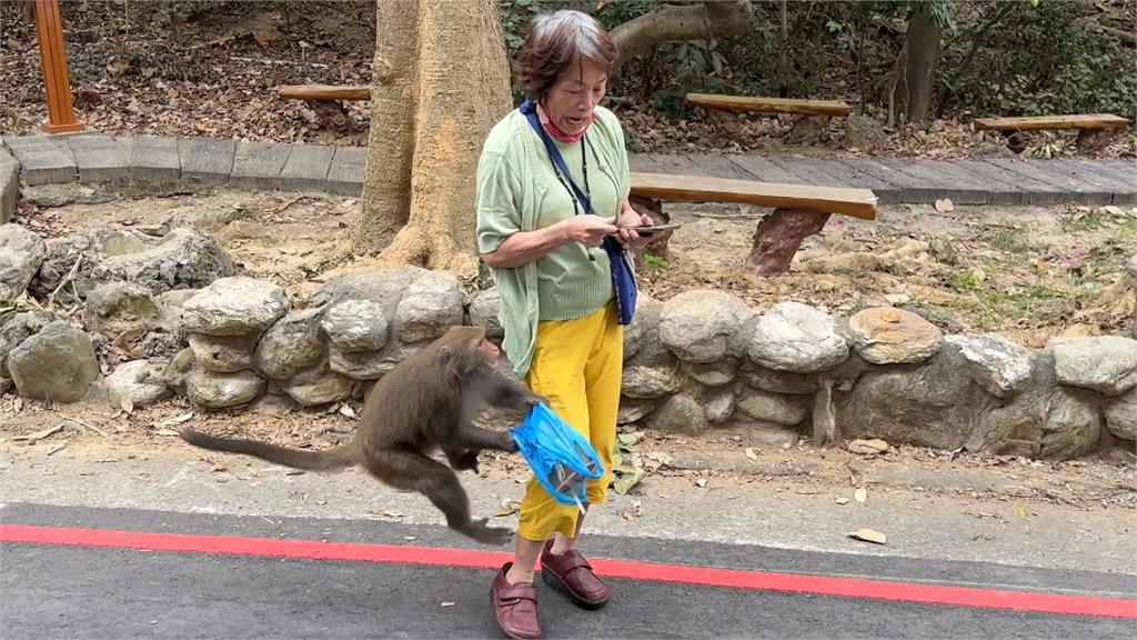 台灣獼猴翻垃圾尋食物釀髒亂　壽山動物園添購「防熊垃圾桶」