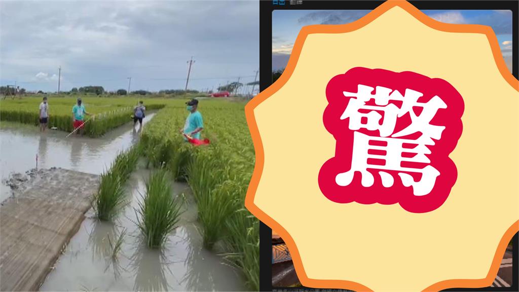 水田捕捉震撼「火燒雲」整片紅！網抓1異象憂「地震雲？」在地人解答了