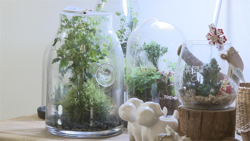 創造專屬瓶中花園 迷你生態圈正夯