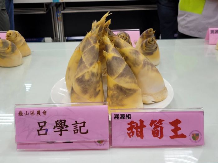 桃園綠竹筍盛產　鮮嫩清爽展現筍農種植實力