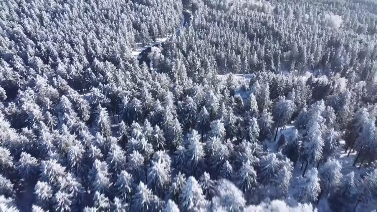 歐洲入冬銀白世界　美滑雪場卻缺雪求助造雪科技