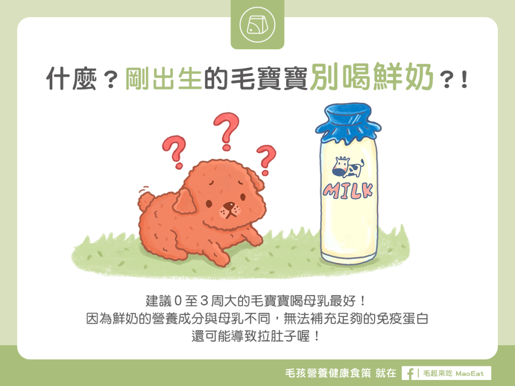【媽咪幼兒飲食】什麼！剛出生的毛寶寶別喝鮮奶？