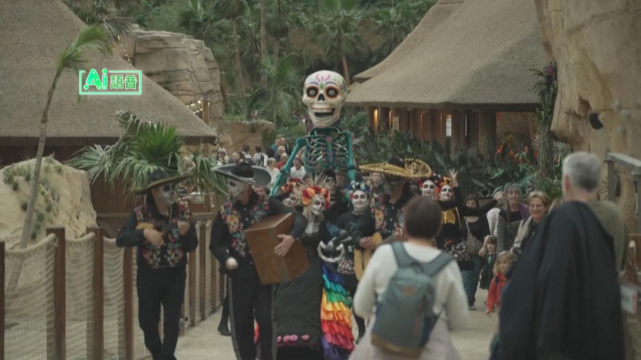 比利時動物園歡慶萬聖節　超應景！動物大啖南瓜點心