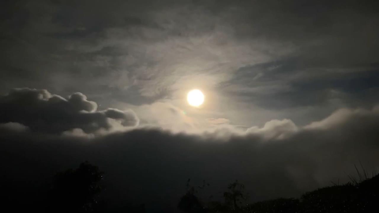 春遊草嶺! 雲嶺之丘賞雲海 翠綠竹林如「武俠電影」