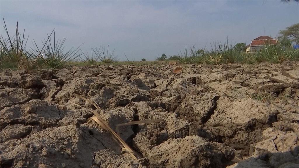 4月以來一滴雨都沒下　印尼農地乾裂稻作收成大減