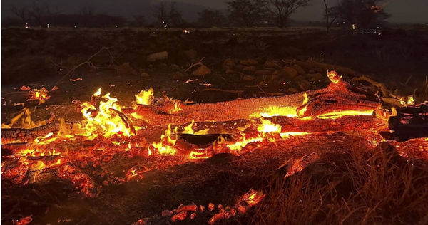 快新聞／夏威夷毛伊島野火肆虐累積55死　百人「跳海求生」驚險畫面曝