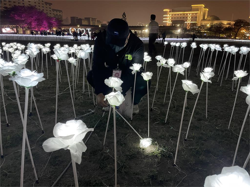 快新聞／台南3萬朵白玫瑰「浪漫花海」遭遊客闖入摘採　整支斷掉工作人員超心疼