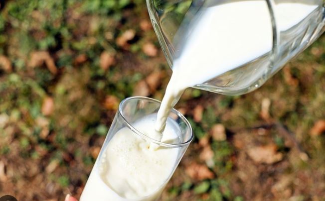 快新聞／日本「明治牛奶」遭驗出動物用藥　4萬4000瓶牛奶全面回收