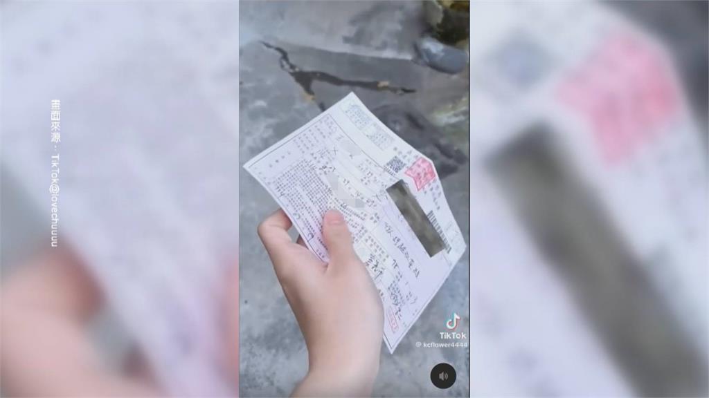 嘉義行人過馬路被罰怒PO網　警方：沒走斑馬線　踩雙黃線