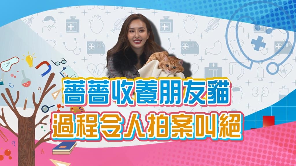 (影)／薔薔收養朋友的貓 過程令人拍案叫絕？