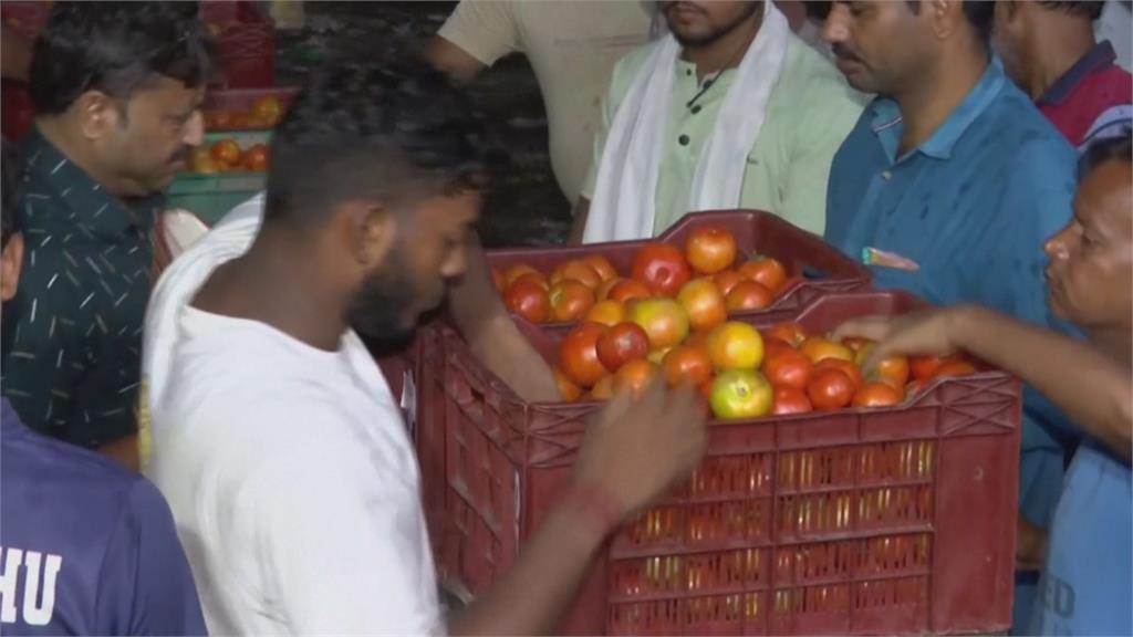 極端氣候！印度番茄產量銳減　攤商不做生意、民眾乾脆不吃了