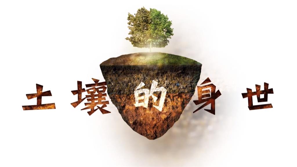 寶島台灣！「5大地形」成天然土壤博物館